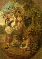 Die Nuss-Sammler